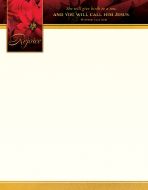 Christmas - Rejoice - Matthew 1:21 (CEB) - Pkg 100 - Letterhead
