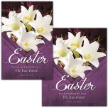 Easter - He Has Risen! - Bulletin - Multiple Sizes