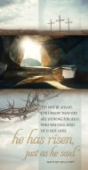 Easter - He Has Risen, Matthew 28:5-6 (NIV) - Pkg 100 - Offering Envelopes