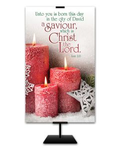 Christmas - A Saviour, Christ the Lord - 3' x 5' Fabric Banner