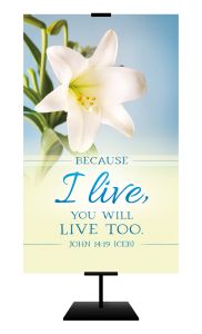 Easter – Because I Live, John 14:19 (CEB) – Banner