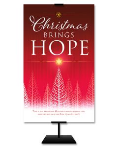 *Banner | 3 x 5 | Fabric | Christmas