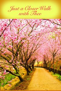 General - Just a closer walk - Standard Bulletin