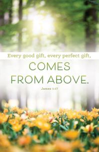Summer - Every good gift, James 1:17 (CEB) - Pkg 100 - Standard Bulletin