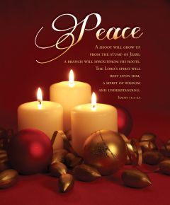 Advent - Week 2 - Peace - Lord's spirit will rest, Isaiah 11:1-2a (CEB) - Pkg 100 - Legal Bulletin