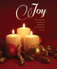 Advent - Week 3 - Joy - Rejoice in God my Savior, Luke 1:47a (CEB) - Pkg 100 - Legal Bulletin