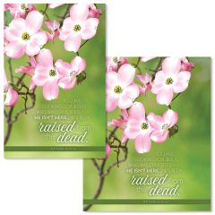 Easter - You Are Looking for Jesus, Matt. 28:5b-6a (CEB) - Pkg 100 - Bulletin - Multiple Sizes