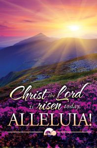 Easter - Christ the Lord Is Risen Today - Pkg 100 - Standard Bulletin