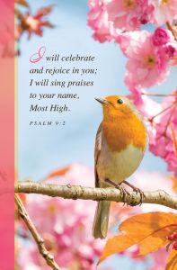 Spring - I Will Celebrate, Psalm 9:2 (CEB) - Pkg 100 - Standard Bulletin
