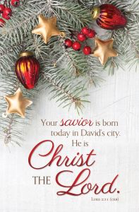 Christmas - Christ the Lord - Luke 2:11 (CEB) - Pkg 100 - Standard Bulletin
