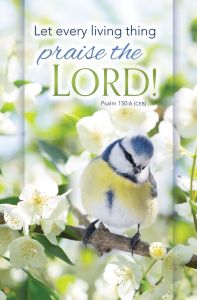 Spring – Praise the Lord, Psalm 150:6 (CEB) – Pkg 100 – Standard Bulletin