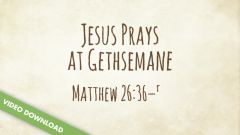 Inspire! Video Download - Jesus Prays at Gethsemane (Matthew 26:36-55)