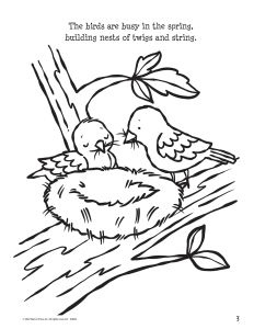 Printable - Coloring and Activity Page | (2-4) God Made the Seasons | Seasonal tree
