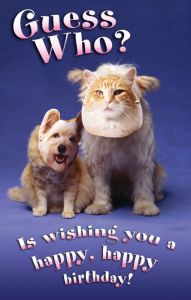 Postcard - Birthday / Guess Who?