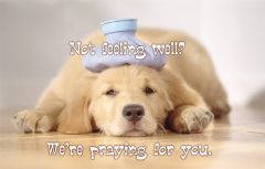 Postcard / Not feeling well?