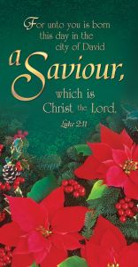 Christmas Offering Envelope / Saviour