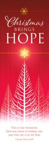 Christmas - Christmas Brings Hope, 1 John 5:11 (NIVÂ®) - Pkg 25 - Bookmark