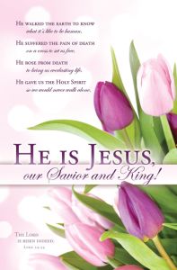 Easter Standard Bulletin / He is Jesus