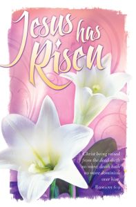 Easter Standard Bulletin / Jesus has Risen