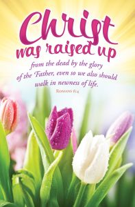 Easter Standard Bulletin - Christ Was Raised Up