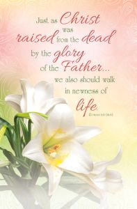 Standard Bulletin | Easter