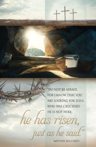 Easter - He Has Risen, Matthew 28:5-6 (NIV) - Pkg 100 - Standard Bulletin