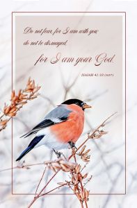 General - I am your God, Isaiah 41:10 (NIV) - Pkg 100 - Standard Bulletin