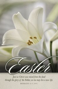 Easter - A New Life, Romans 6:4 (NIV) - Pkg 100 - Standard Bulletin