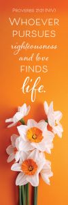 General—Whoever Pursues Righteousness; Proverbs 21:21 (NIV)—Pkg 25—Bookmark