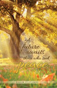 General—A Future Awaits; Psalm 37:37 (NIV)—Pkg 100—Standard Bulletin
