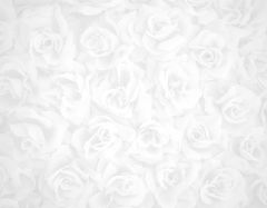 Wedding Standard Bulletin - Insert Sheet