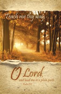 General Worship Standard Bulletin - Teach me thy way, O Lord
