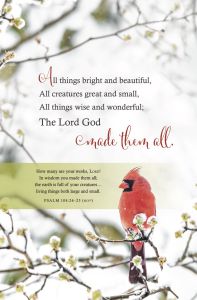 General Winter - All things bright and beautiful - Standard Bulletin